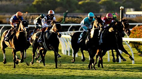 breeders' cup results and payouts